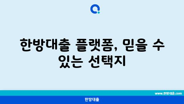 한방대출 플랫폼, 믿을 수 있는 선택지