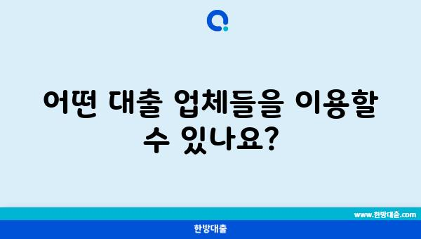 어떤 대출 업체들을 이용할 수 있나요?