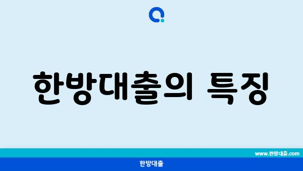 한방대출의 특징