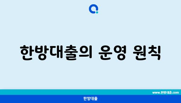 한방대출의 운영 원칙