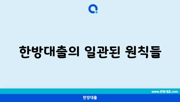 한방대출의 일관된 원칙들