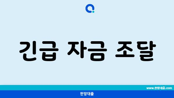 긴급 자금 조달