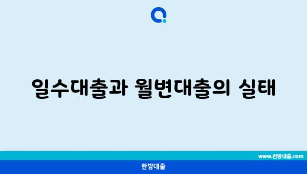 일수대출과 월변대출의 실태