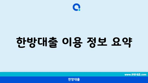 한방대출 이용 정보 요약