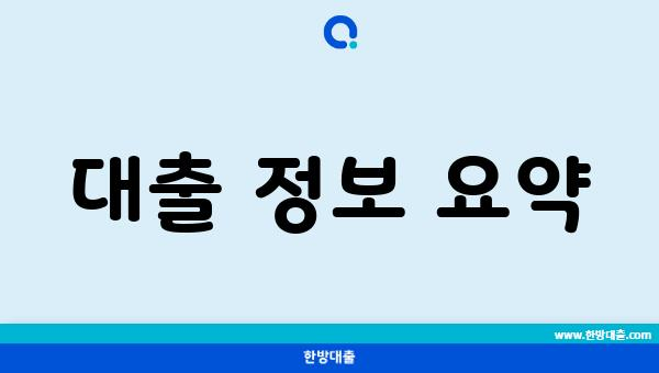 대출 정보 요약