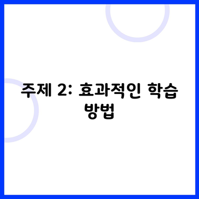 주제 2: 효과적인 학습 방법