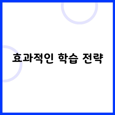 효과적인 학습 전략