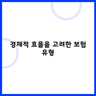 경제적 효율을 고려한 보험 유형