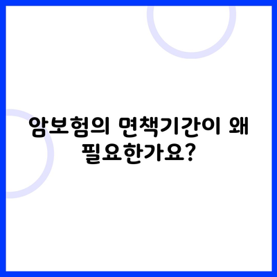 암보험의 면책기간이 왜 필요한가요?