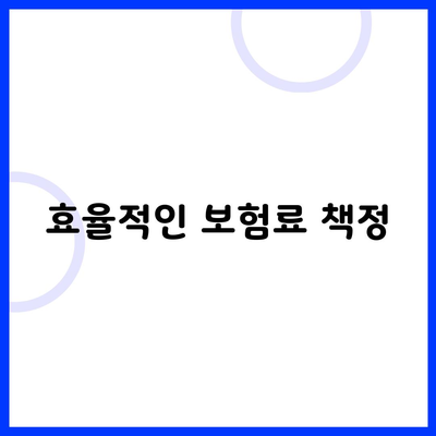 효율적인 보험료 책정