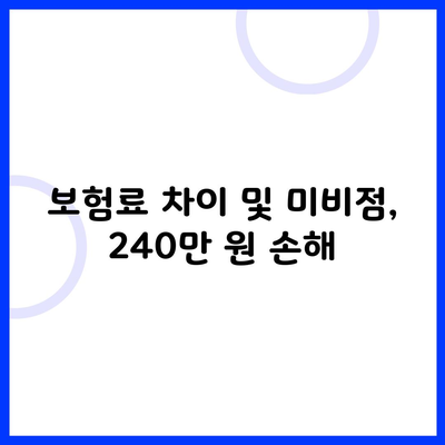 보험료 차이 및 미비점, 240만 원 손해