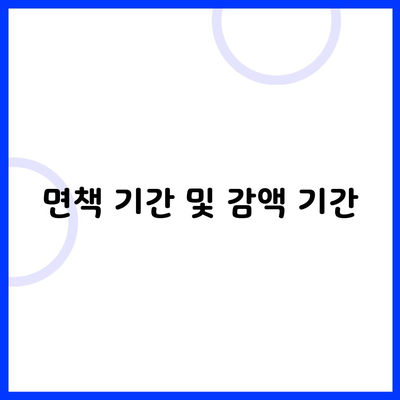 면책 기간 및 감액 기간