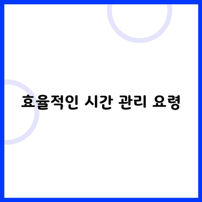 효율적인 시간 관리 요령