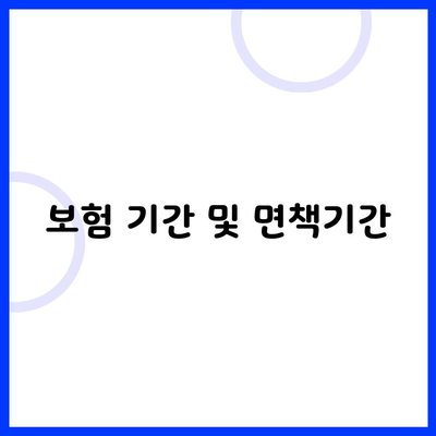 보험 기간 및 면책기간