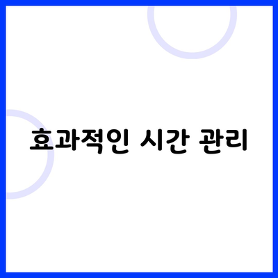 효과적인 시간 관리