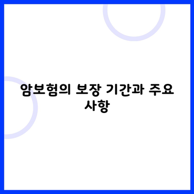 암보험의 보장 기간과 주요 사항