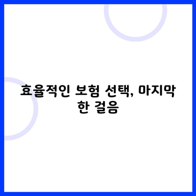 효율적인 보험 선택, 마지막 한 걸음