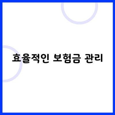 효율적인 보험금 관리