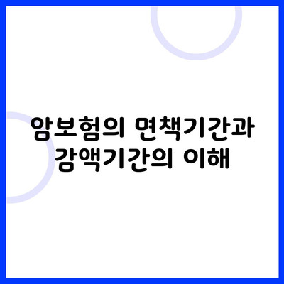 암보험의 면책기간과 감액기간의 이해