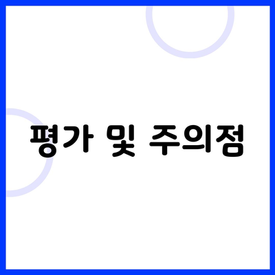 평가 및 주의점