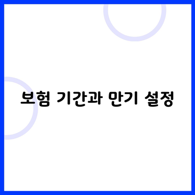 보험 기간과 만기 설정