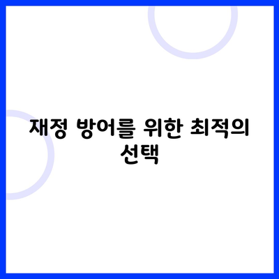 재정 방어를 위한 최적의 선택