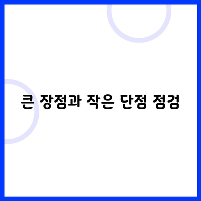 큰 장점과 작은 단점 점검