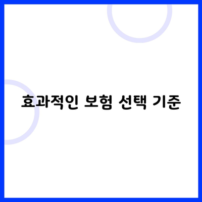 효과적인 보험 선택 기준