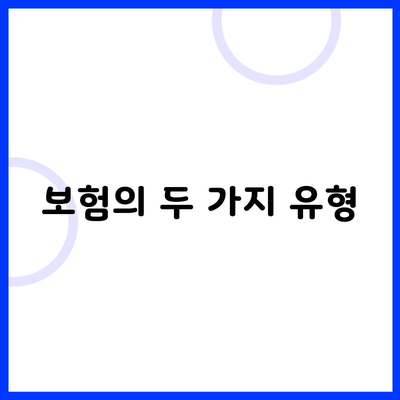 보험의 두 가지 유형