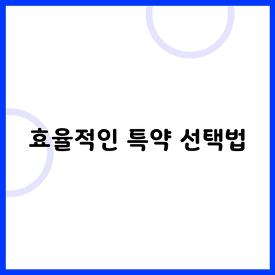 효율적인 특약 선택법