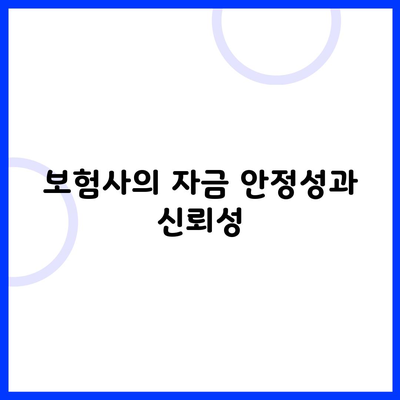 보험사의 자금 안정성과 신뢰성