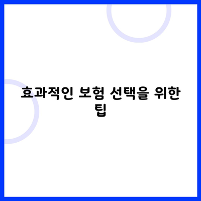 효과적인 보험 선택을 위한 팁