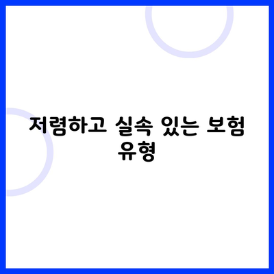 저렴하고 실속 있는 보험 유형