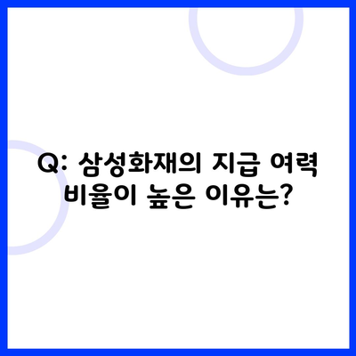 Q: 삼성화재의 지급 여력 비율이 높은 이유는?