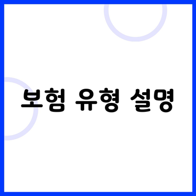 보험 유형 설명