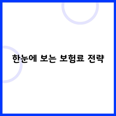 한눈에 보는 보험료 전략