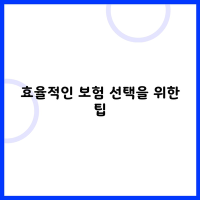 효율적인 보험 선택을 위한 팁