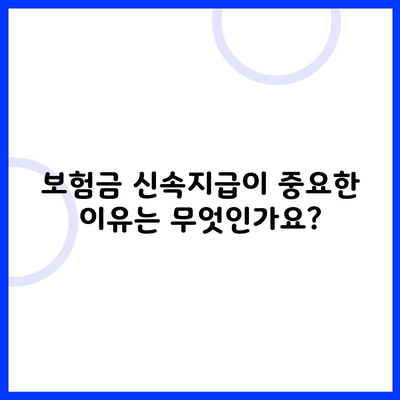 보험금 신속지급이 중요한 이유는 무엇인가요?