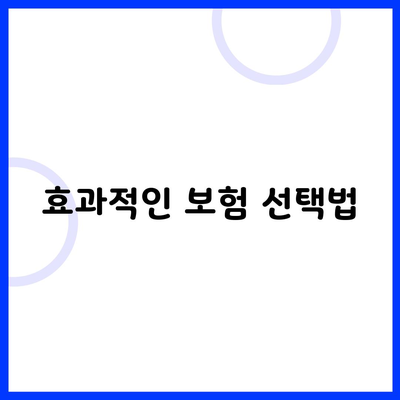 효과적인 보험 선택법