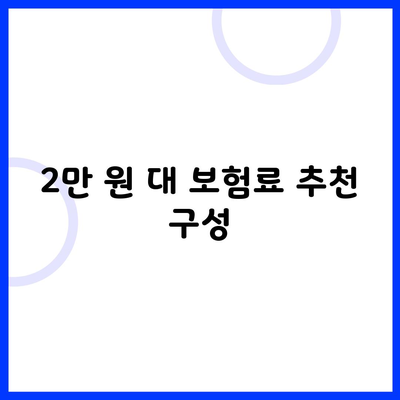 2만 원 대 보험료 추천 구성