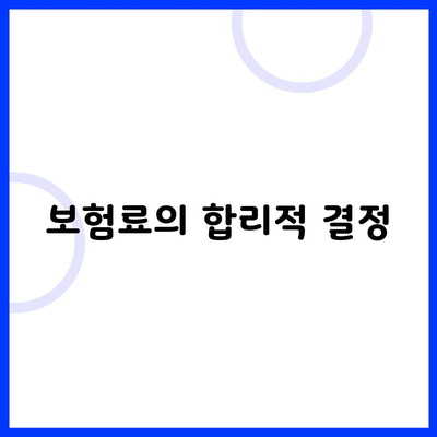 보험료의 합리적 결정