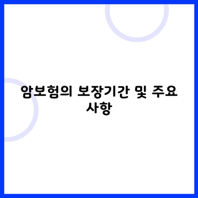 암보험의 보장기간 및 주요 사항