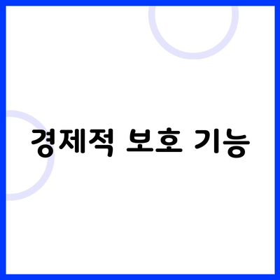 경제적 보호 기능