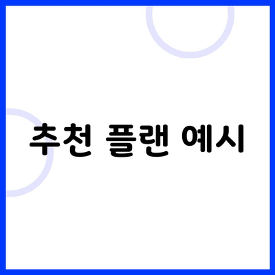 추천 플랜 예시