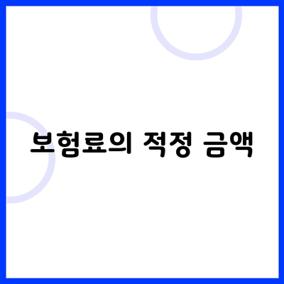 보험료의 적정 금액