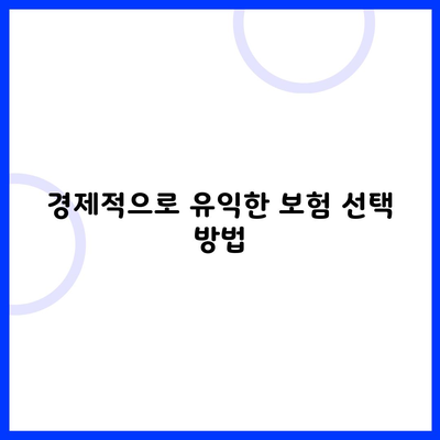 경제적으로 유익한 보험 선택 방법