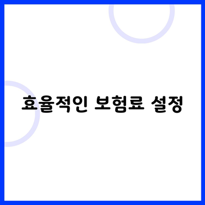 효율적인 보험료 설정