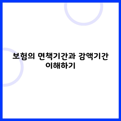 보험의 면책기간과 감액기간 이해하기