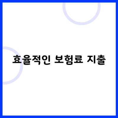 효율적인 보험료 지출
