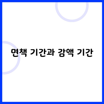 면책 기간과 감액 기간